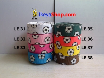 Pita LE 31 38  large2